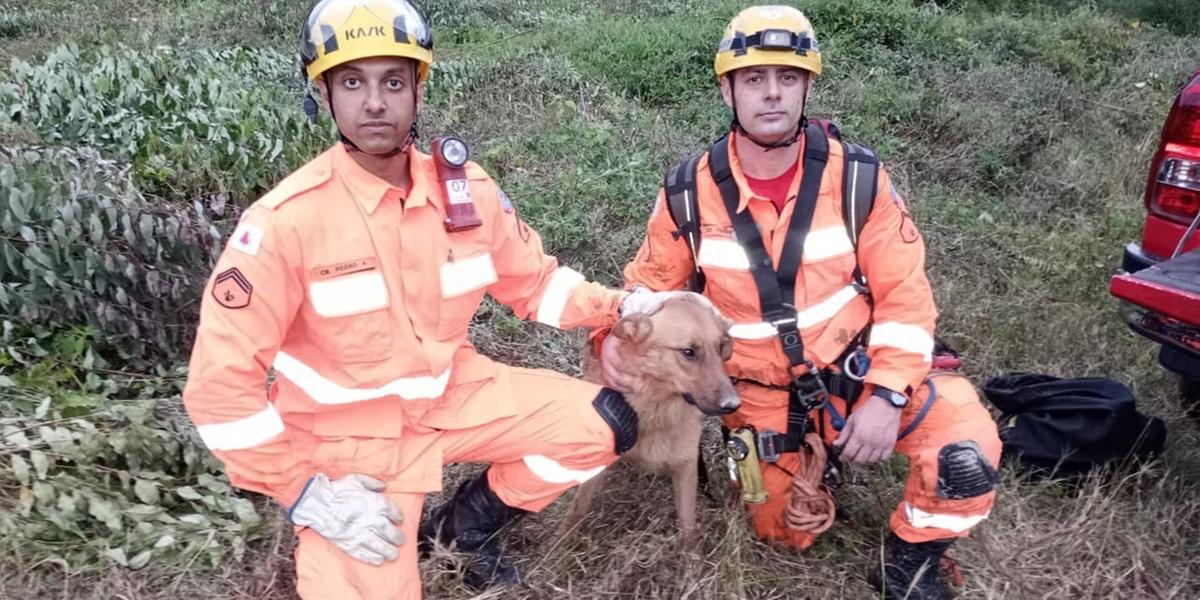  (Bombeiros/Divulgação)