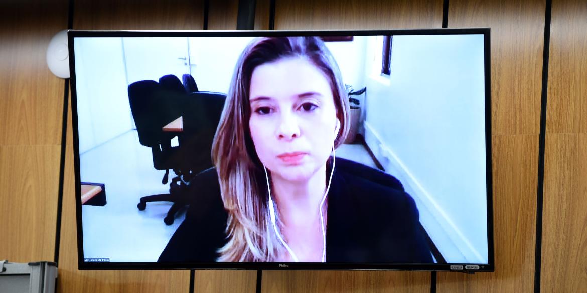  (Foto: Henrique Chendes)