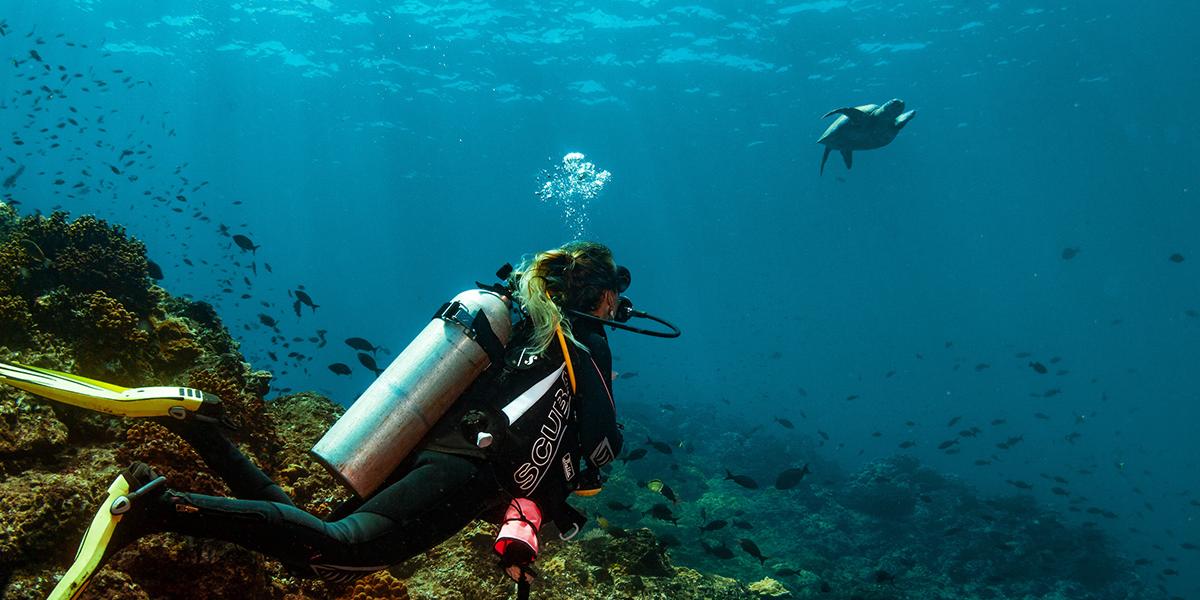 País permite que visitantes explorem o Mar do Caribe e o Oceano Pacífico no mesmo dia (Promtur / Panamá)