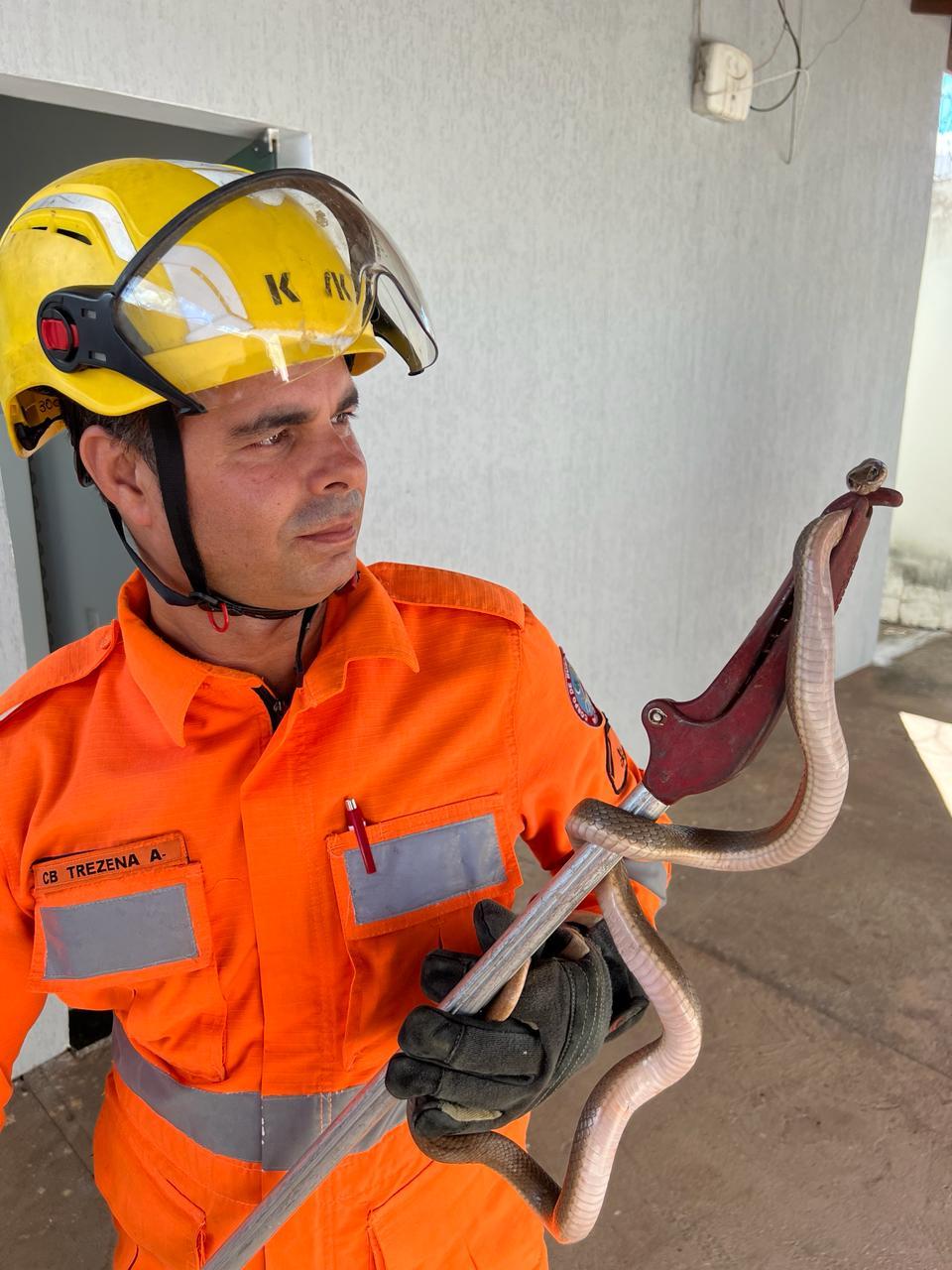  (Corpo de Bombeiros/Divulgação)