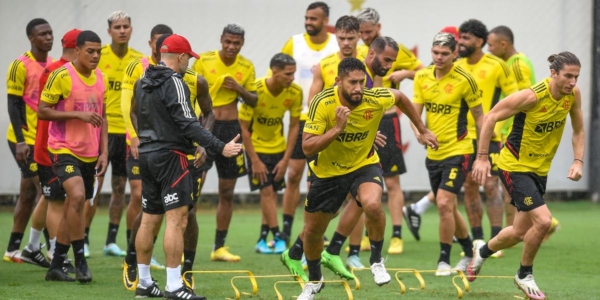 Rubro-Negro encara o Palestino em casa pela Libertadores (Marcelo Cortes / Flamengo)