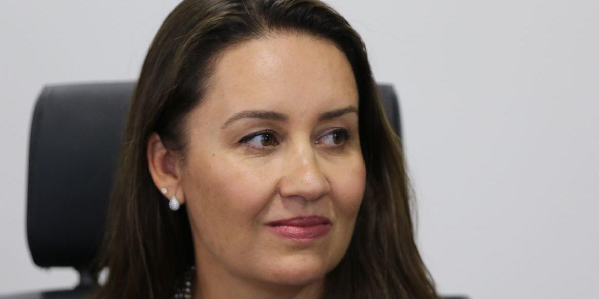 Secretária de Assuntos Econômicos, Desenvolvimento, Financiamento Externo e Integração Nacional do Ministério do Planejamento e Orçamento, Renata Amaral (Fabio Rodrigues-Pozzebom/ Agência Brasil)