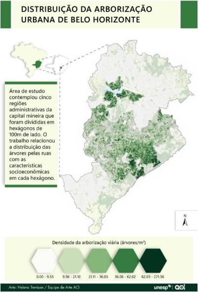 Arbori (Divulgação / Unesp)