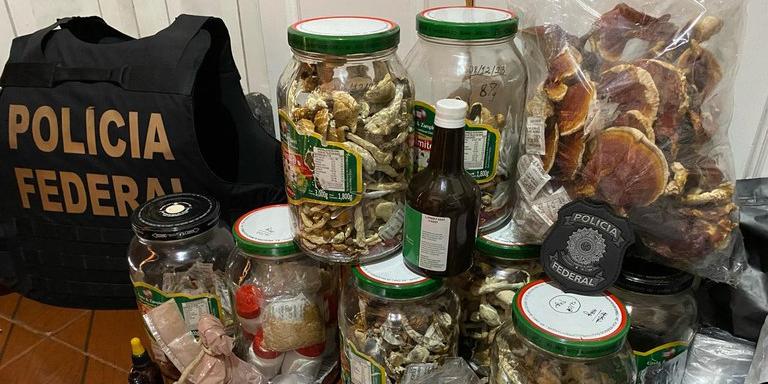 Durante as buscas foram encontrados e apreendidos cogumelos e materiais para cultivo e embalagem (PF/Divulgação)