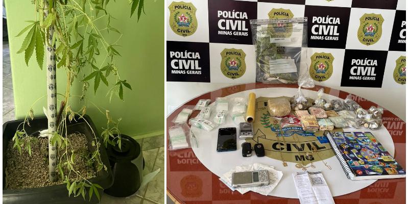 Policiais apreenderam um pé de maconha, parte da mesma substância de forma prensada, skank, balanças, cadernos com anotações contábeis, um carro e quase R$ 10 mil (Divulgação / PCMG)