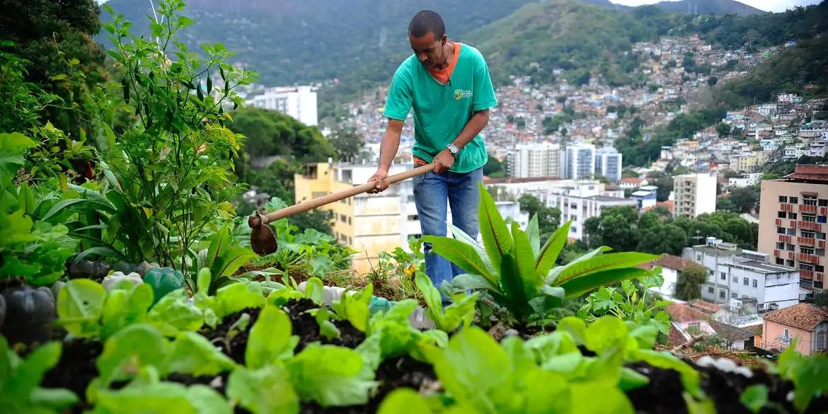 Projeto mobiliza moradores das comunidades pacificadas implementando agricultura sustentável em hortas comunitárias (Tomaz Silva/Agência Brasil)