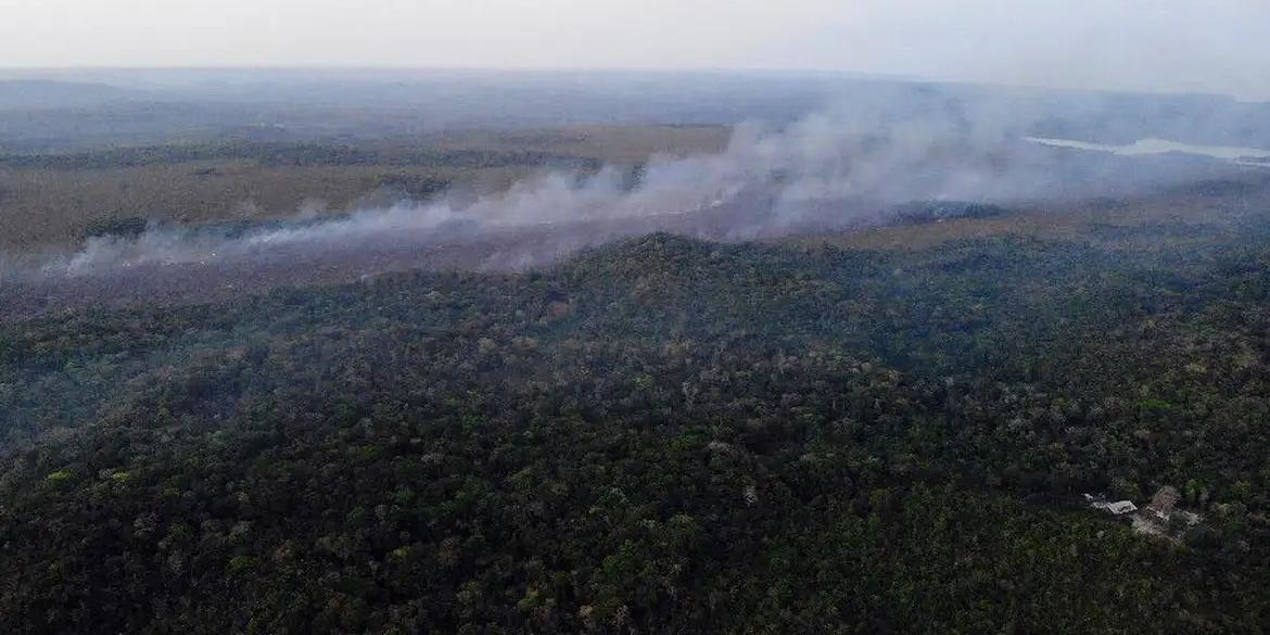 Incêndio em Alter do Chão (Divulgação Brigada de Alter do Chão (PA))