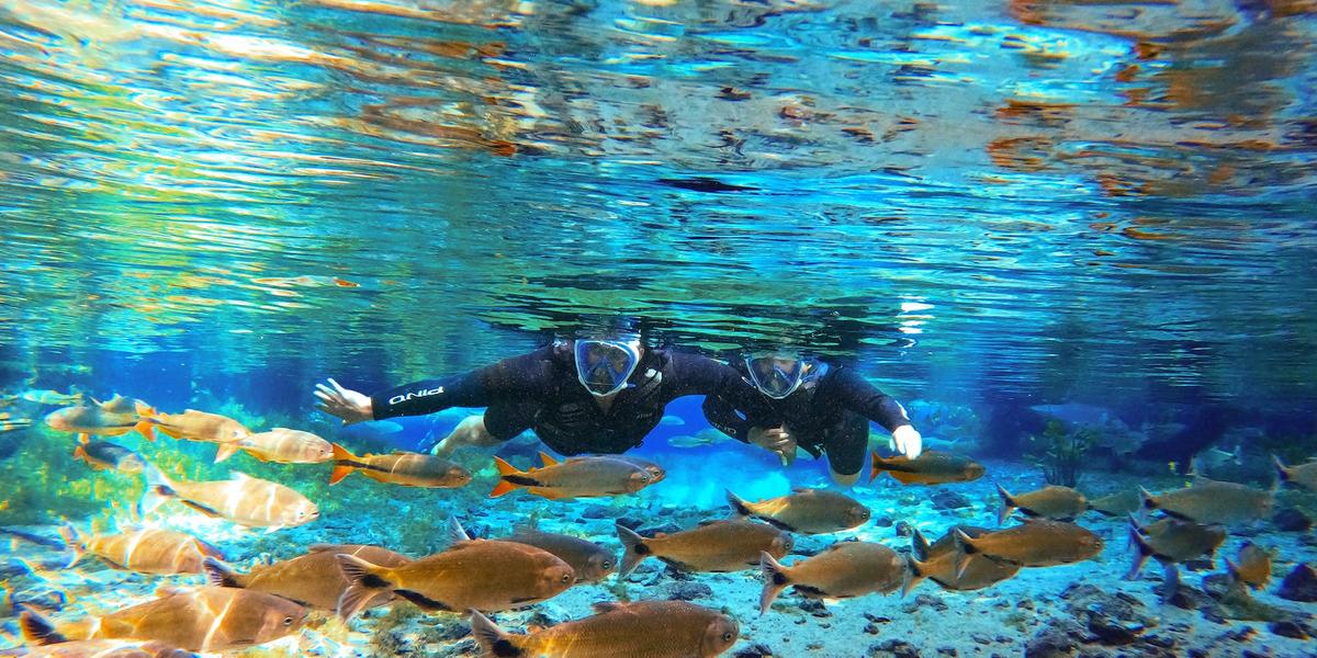 Bonito é uma cidade viva, repleta de atrativos naturais, com um excelente centro de convenções, hotelaria de ótimo nível e boa conectividade (Divulgação / Nascente Azul)