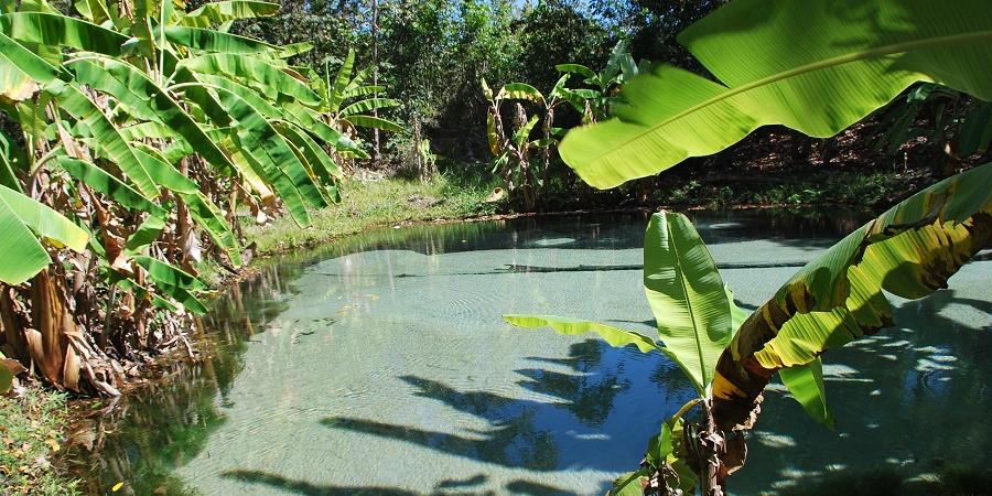 Korubo conta visitas a áreas privativas como incluindo fervedouros, praias de água potável e cachoeiras (Divulgação)