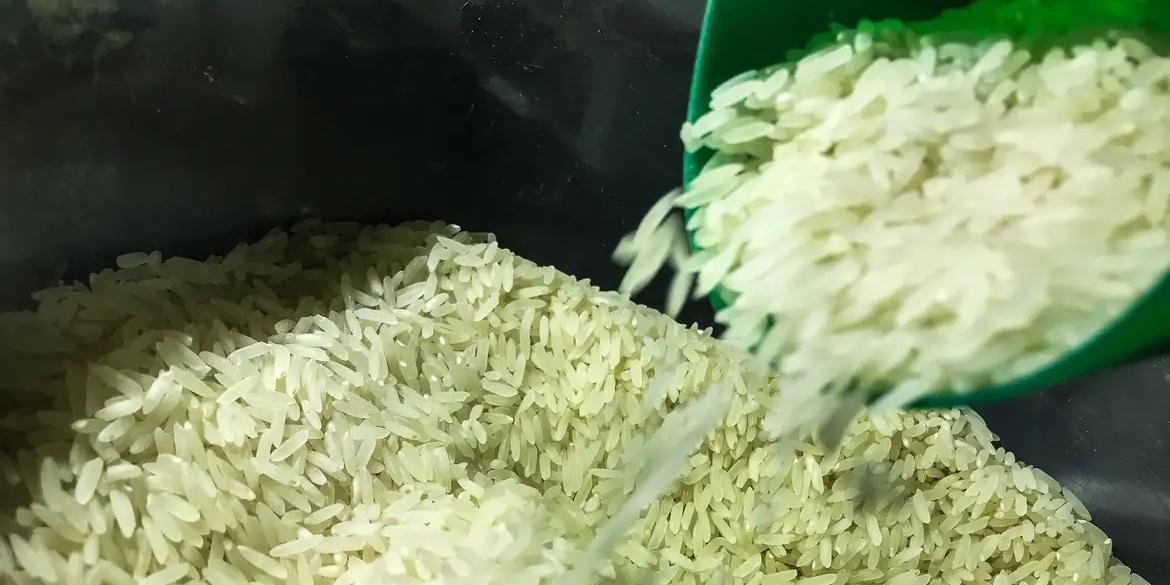 Brasil vai importar arroz para evitar especulação de preços (Marcello Casal Jr / Agência Brasil)