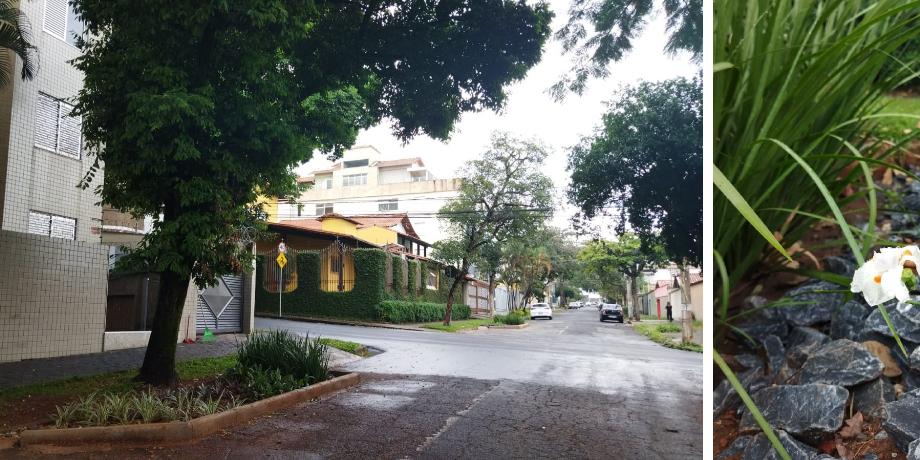 Fotos de jardim de chuva implantado em Belo Horizonte (PBH/Divulgação)