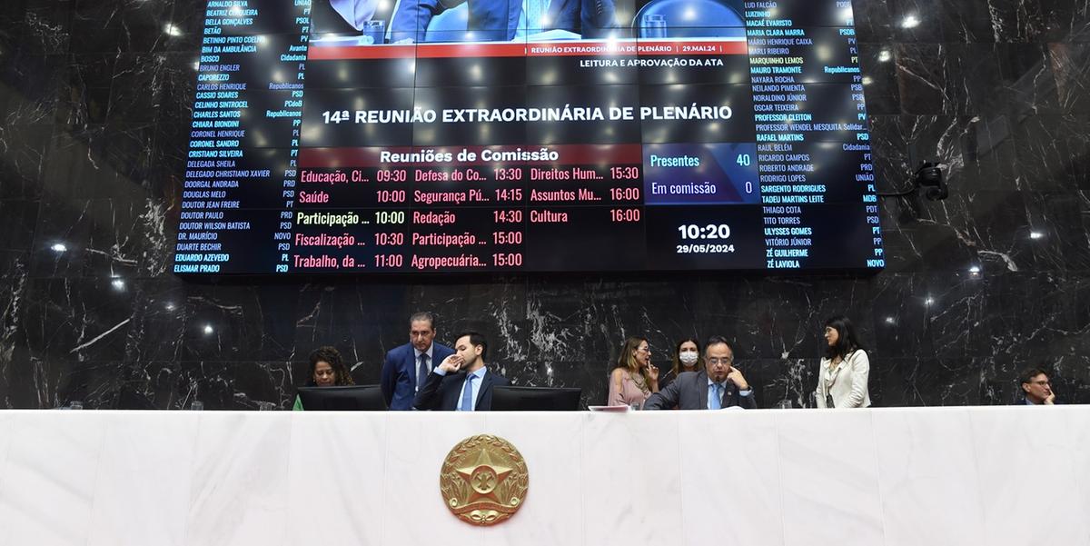 Projeto de Lei 2.309/24 foi analisado na manhã desta quarta-feira (29), em Reunião Extraordinária de Plenário (Elizabete Guimarães)