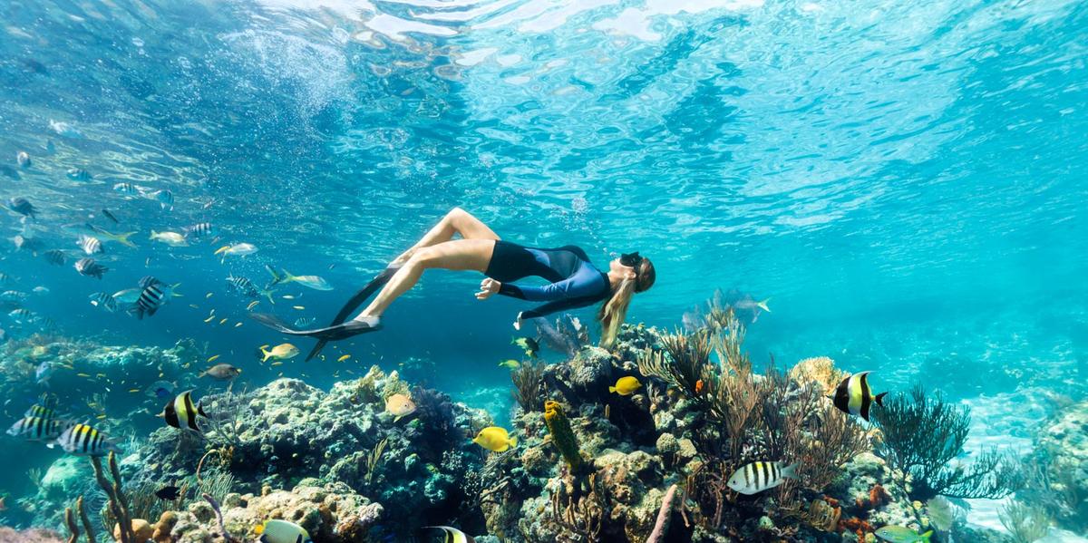 Para preservar este tesouro natural, foram criados os Parques Marinhos Norte e Sul, protegendo mais de 8.500 hectares desta maravilha da natureza (Divulgação / BMOTIA)