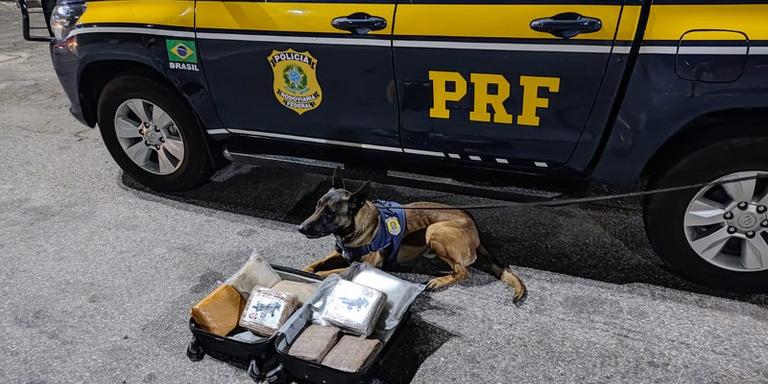 Polícia apreendeu 11 tabletes de skunk na BR-040 (Divulgação/ PRF)