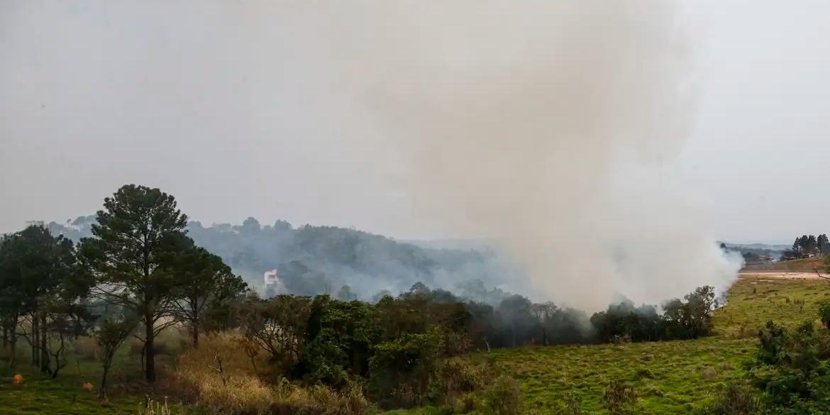 Foco de incêndio próximo a rodovia presidente Castelo Branco, o governo de São Paulo cria gabinete de crise para combate a incêndios
Estradas são interditadas e 30 municípios estão em alerta máximo (Paulo Pinto/Agência Brasil)
