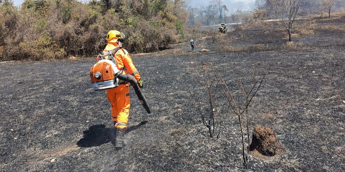 Incêndios em áreas de vegetação avançam com o tempo seco e o calor intenso em Minas; decreto reconhece impactos ambientais e à qualidade do ar (Divulgação / CBMMG)