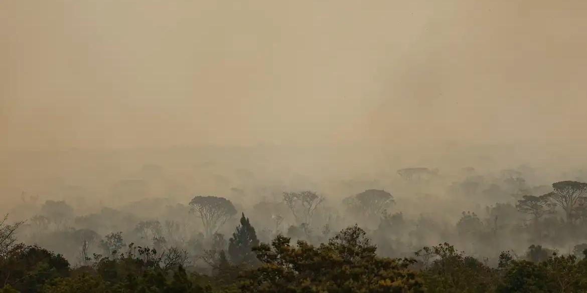 Grandes focos de incêndio que atingiram áreas do Parque Nacional de Brasília (Marcelo Camargo/Agência Brasil)