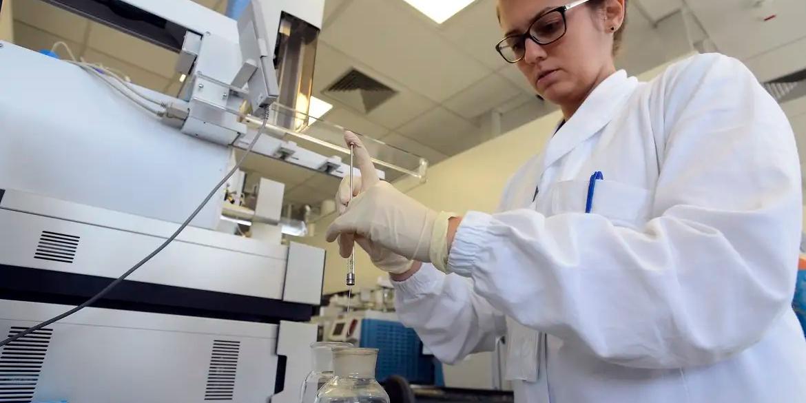 Conhecido como “superfungo”, o Candida auris causa grande preocupação nas autoridades sanitárias por ser resistente à maioria dos fungicidas existentes (Tânia Rêgo/ Agência Brasil)