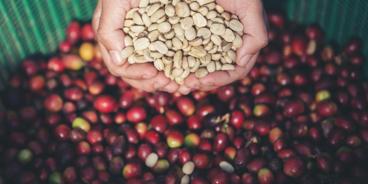"Ainda é cedo para saber se o tarifaço será totalmente revertido ou se estamos apenas ganhando tempo, mas ao menos o café segue forte na mesa de negociações, e o real, por ora, mais animado no mercado" (Jcomp/Freepik)