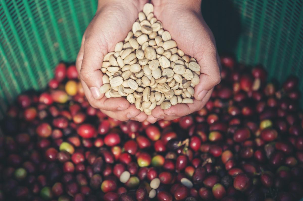 "Ainda é cedo para saber se o tarifaço será totalmente revertido ou se estamos apenas ganhando tempo, mas ao menos o café segue forte na mesa de negociações, e o real, por ora, mais animado no mercado" (Jcomp/Freepik)