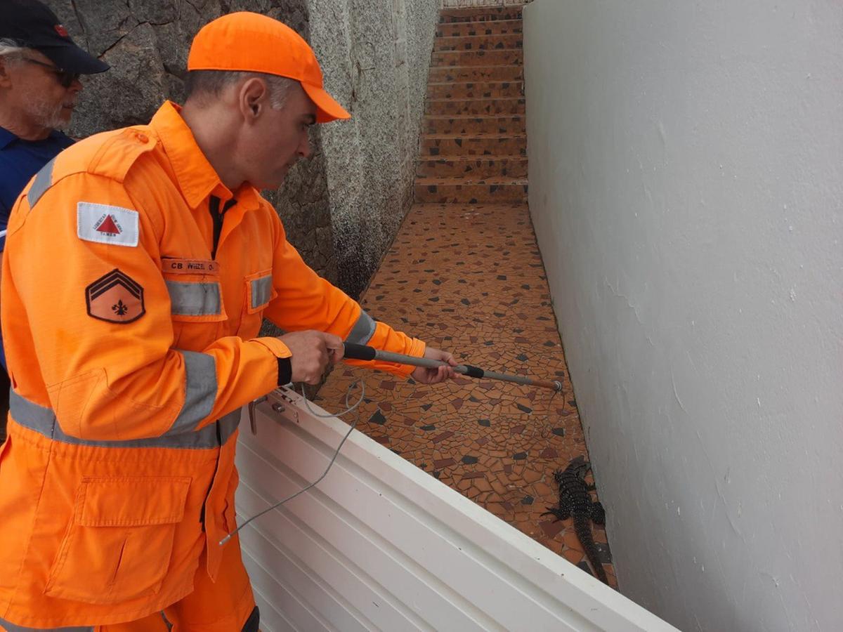  (Corpo de Bombeiros/Divulgação)