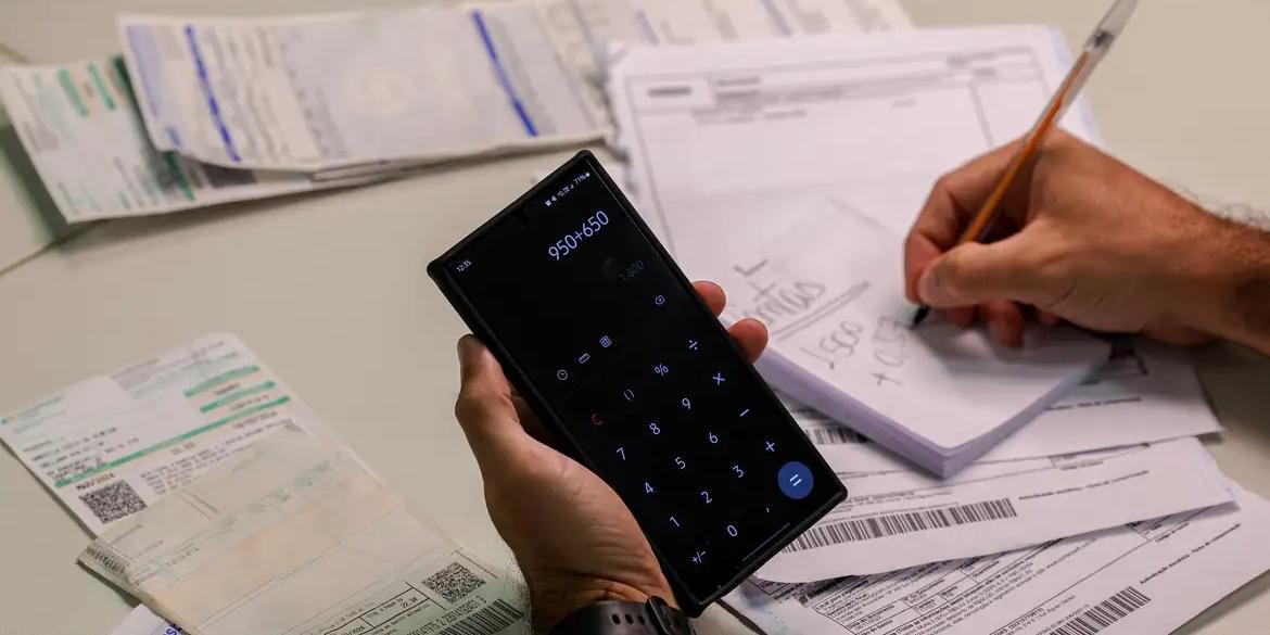 Compra de alimentos em supermercados, produtos em geral e gastos com saúde lideram as despesas feitas com cartão de crédito em Minas  (Joédson Alves / Agência Brasil)