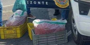 140kg de carne moída estragada é apreendida no Centro de Belo Horizonte (Divulgação / Guarda Civil Municipal)