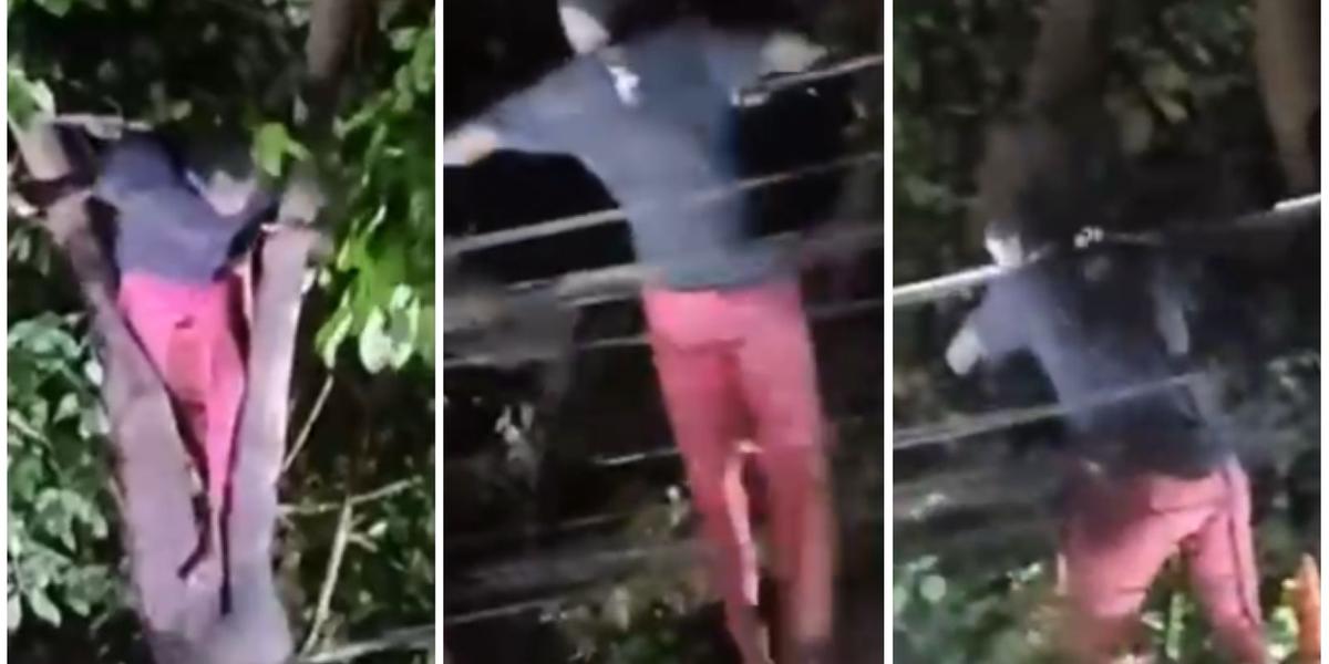 Em março deste ano em BH, ladrão sobiu em poste para roubar fios de cobre, mobilizou até helicóptero da PM e desceu após 4h (Reprodução/ Redes Sociais)