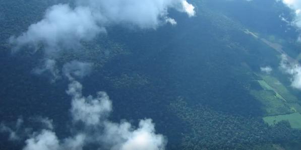 Os R$ 450 milhões iniciais são destinados a projetos de restauração de, no mínimo, 3 mil hectares. (Luciana Gatti / Divulgação / Agência Brasil)