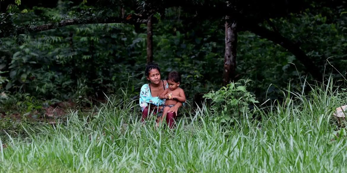 Devastação nos biomas analisados ficou concentrada até os anos 2000 ou os primeiros anos daquela década (TÂNIA RÊGO/AGÊNCIA BRASIL)