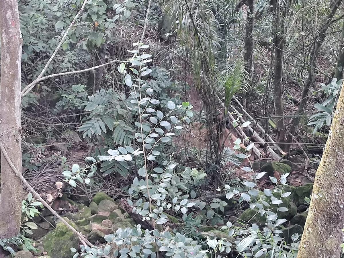 Local é tomado por pedras grandes, além disso, pontiagudas, o que poderia causar ferimentos na vaca (Corpo de Bombeiros)