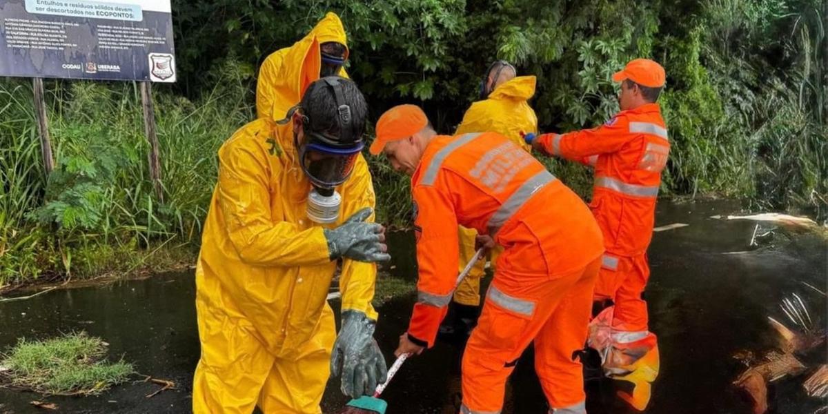 Corpo estava em ocal por onde passa um córrego com água contaminada; a chuva dificultou a operação dos bombeiros (Corpo de Bombeiros)