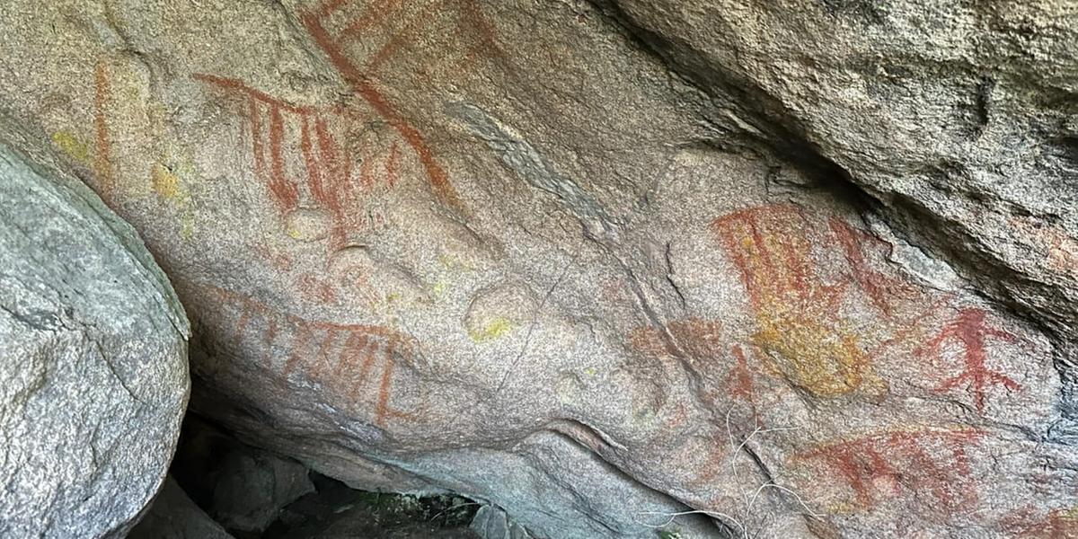 Situadas a 2.350 metros de altitude (Parque Nacional do Itatiaia/Divulgação)