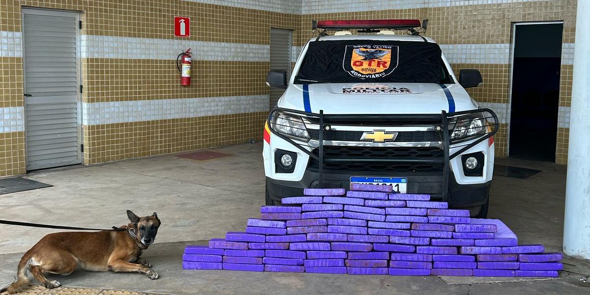 Foram apreendidas 72 barras de maconha na rodoviária de Betim, na Grande BH (Divulgação/ PM)