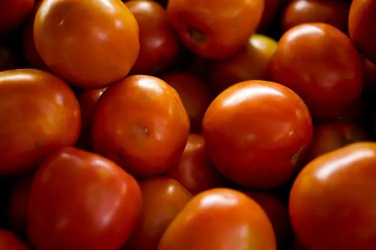 Tomate subiu 22,55% com um impacto de 0,05 ponto percentual na inflação (Elza Fiúza/Agência Brasil)