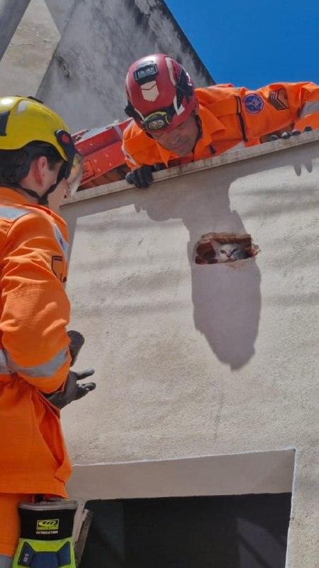 Bombeiros optaram por abrir um vão na parede lateral, utilizando marreta e talhadeira (Divulgação / CBMMG)