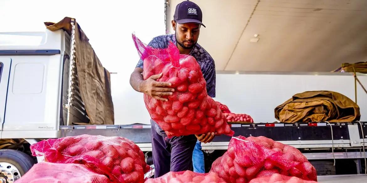 Preço da cesta de produtos da Páscoa tem queda de 0,4% no país (Rafa Neddermeyer/Agência Brasil)