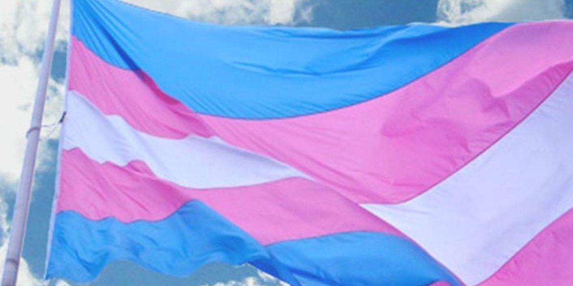 Bandeira da Associação Nacional de Travestis e Transexuais (Antra/Divulgação)