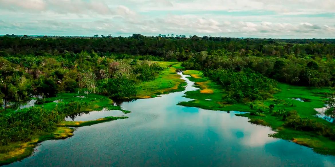 Área de Proteção Ambiental (APA) Jará, em Juruti (Armando Leandro Ribeiro da Silva/Divulgação)
