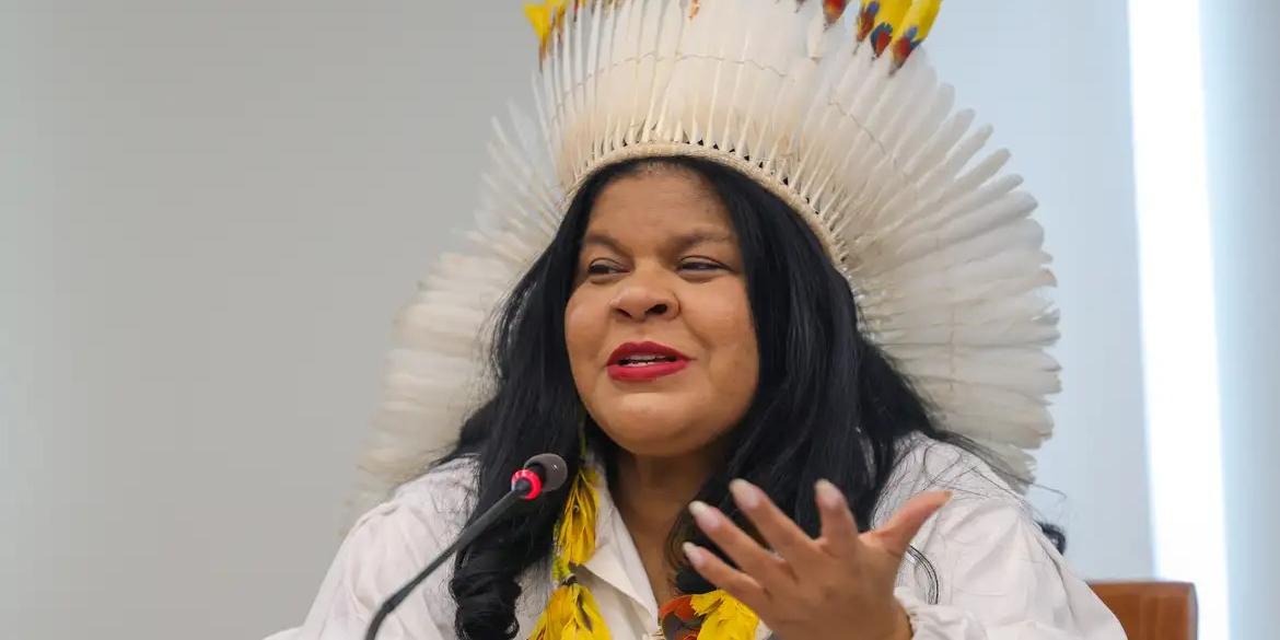 Ministra dos Povos Indígenas, Sônia Guajajara (Fabio Rodrigues-Pozzebom/ Agência Brasil)