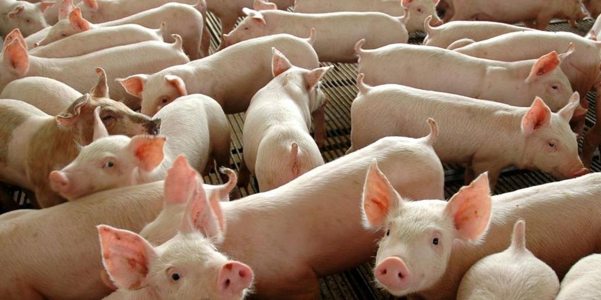 Decisão foi antecipada pelo ministro da Agricultura chileno, Esteban Valenzuela (Divulgação/Governo Federal)