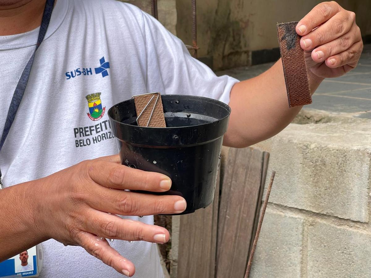 Ovitrampas simulam locais ideais para a reprodução do mosquito Aedes Aegypti (Valéria Marques/ Hoje em Dia)
