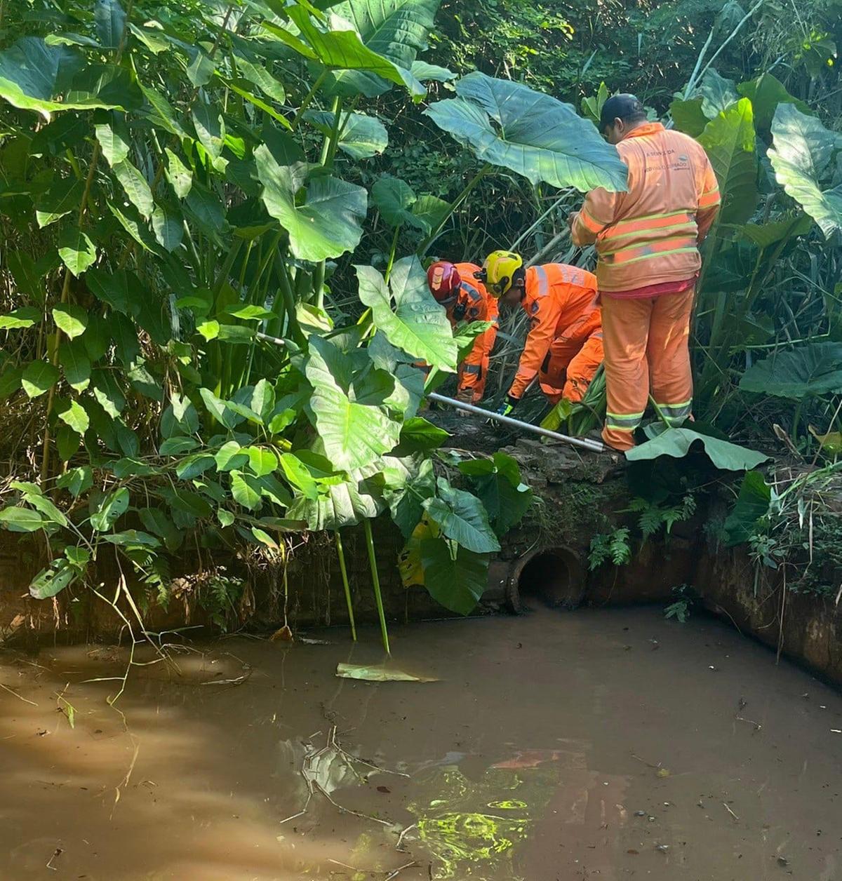 Ela foi retirada do tanque evitando qualquer tipo de ferimento (Divulgação/CBMMG)