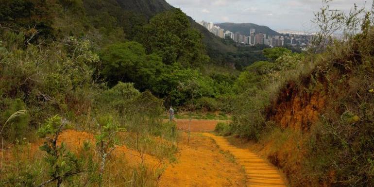 Participantes irão conhecer as espécies nativas da flora e fauna locais (Suziane Brugnara/PBH)