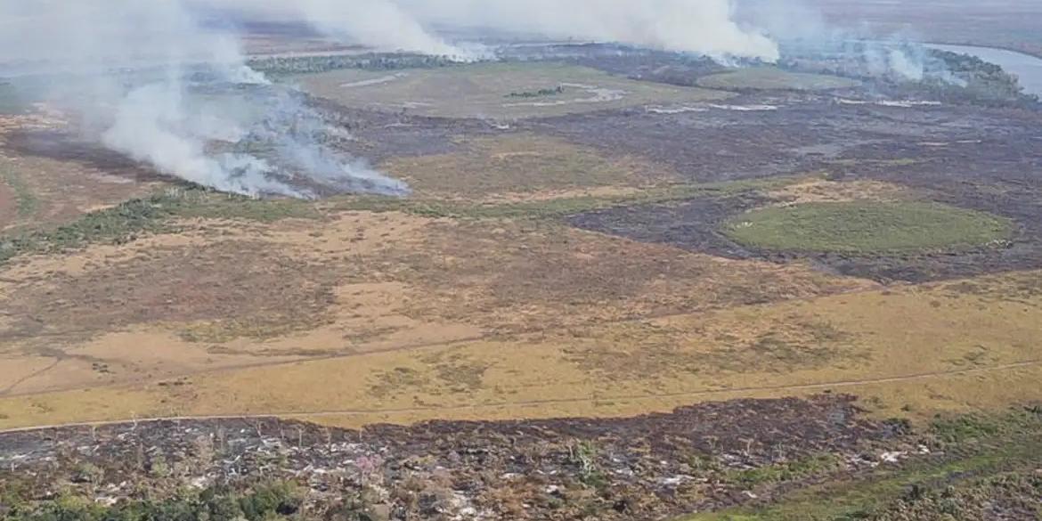 Mês de abril teve aumento de 55% nos alertas de supressão florestal, na comparação com abril de 2024 (Polícia Federal/MS)