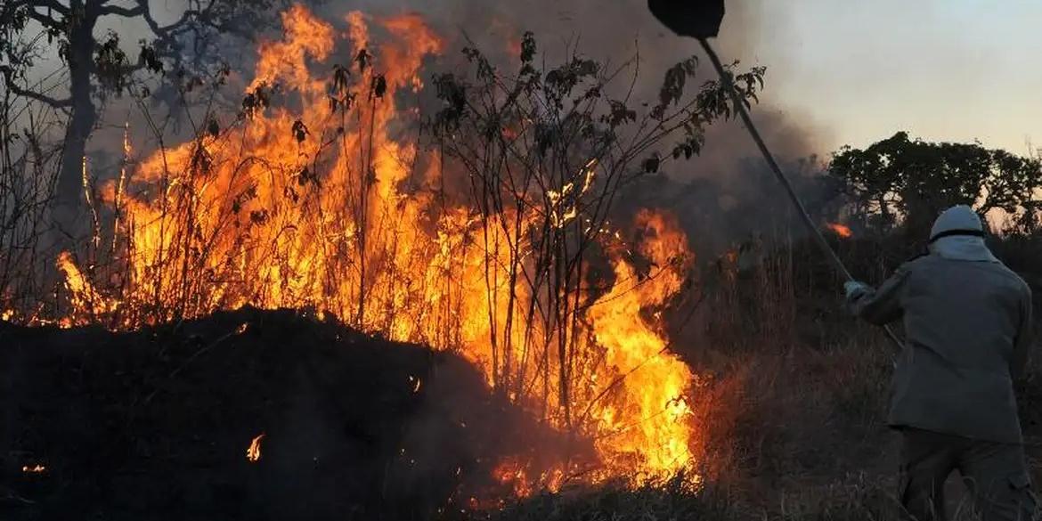 Equipes de patrulhamento estão sendo ampliadas em áreas mais críticas (Arquivo/Valter Campanato/Agência Brasil)