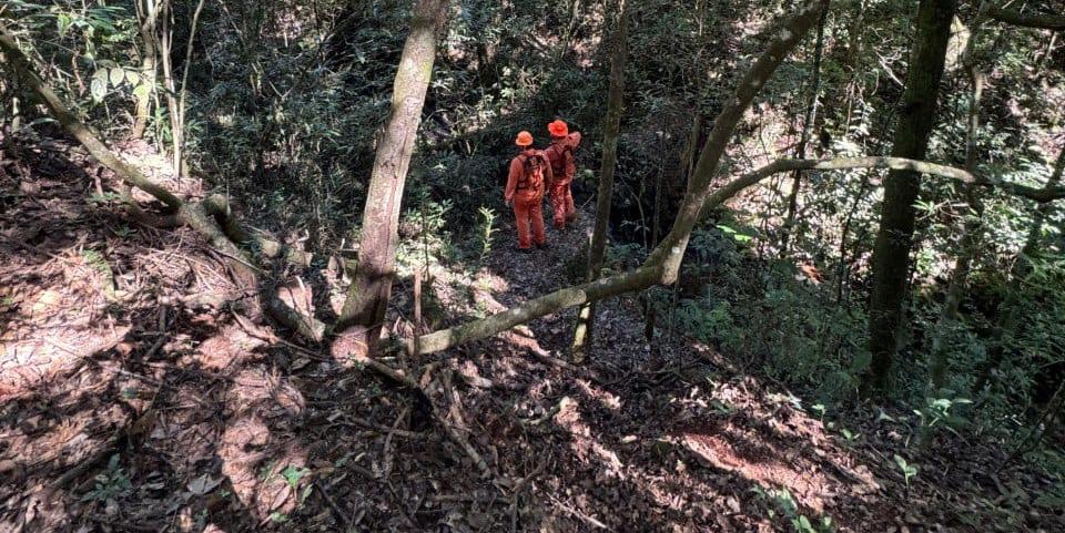 Homem foi localizado a cerca de 300 metros do ponto inicial da busca, em meio à mata fechada (Bombeiros/Divulgação)