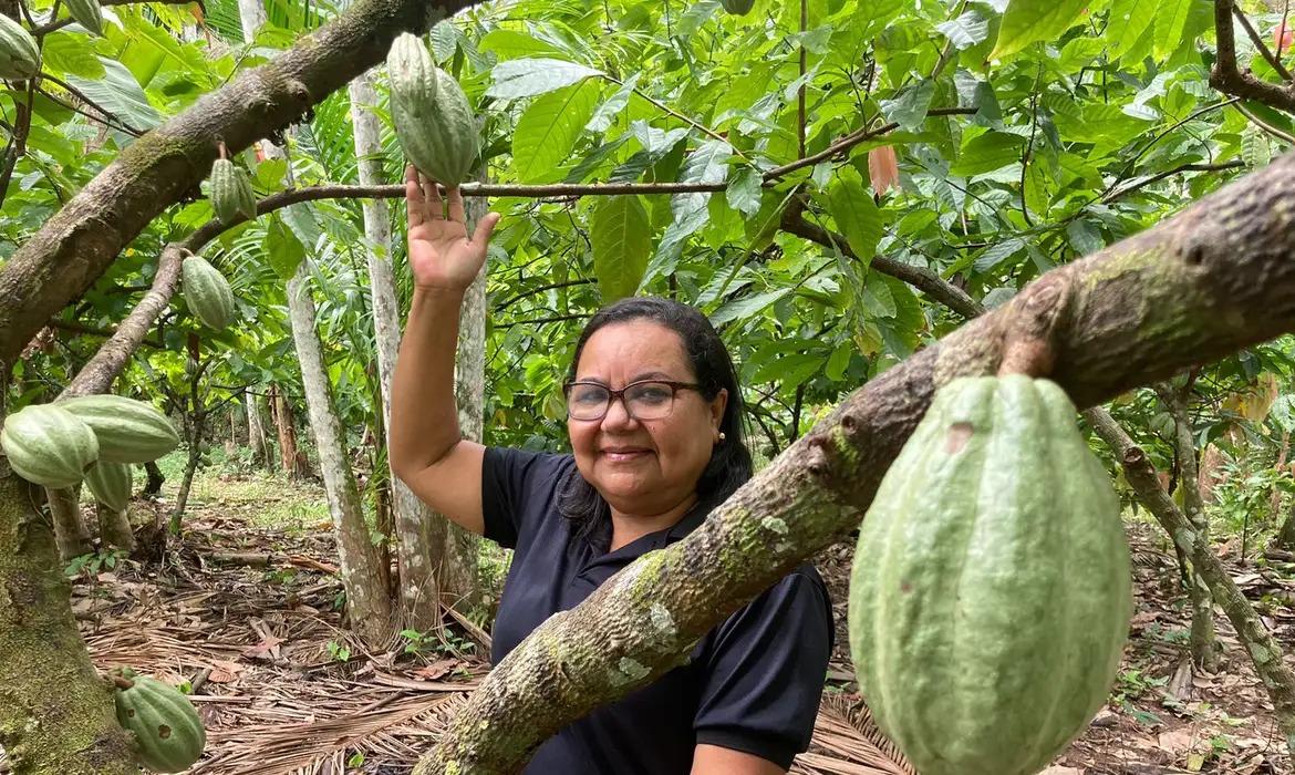 Dona Nena, empresária de bioeconomia no Pará (Fabiola Sinimbú/Agência Brasil)