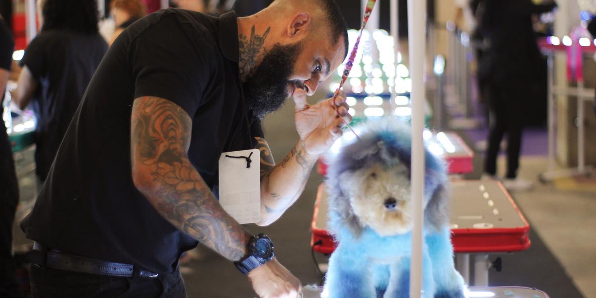 Segundo o Núcleo de Pesquisa e Inteligência da Fecomércio MG, indústria dos pet shops faturou em Minas, em 2023, R$ 47,01 bilhões, ou 0,47% do PIB brasileiro (Yuri Katriel/Divulgação)