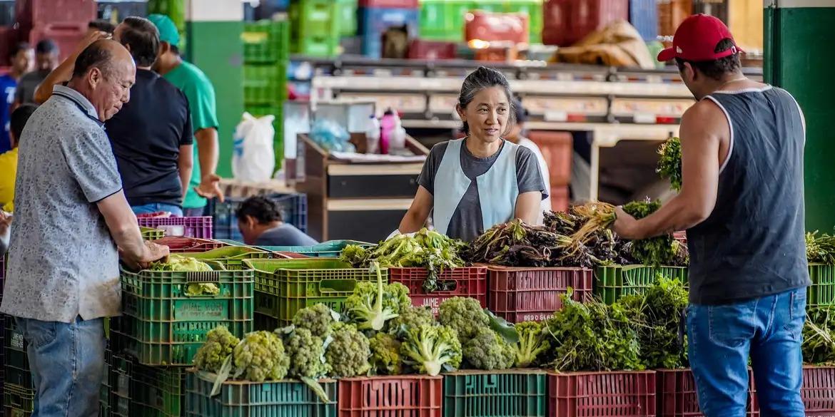 Agência reguladora informou que o ciclo 2025 prevê a coleta de 3.505 amostras de um total de 13 alimentos (Rafa Neddermeyer/Agência Brasil)